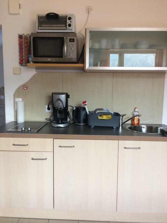 שטיינדורף אם אוסיאכר סי Ferienwohnung Frieser מראה חיצוני תמונה